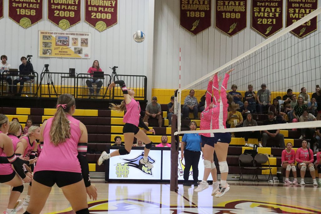 Pink Out Night
