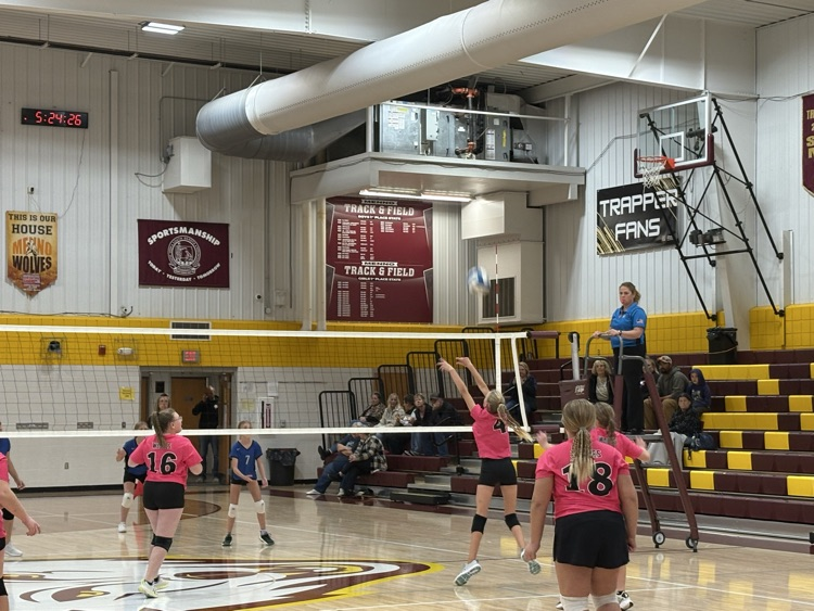 vb