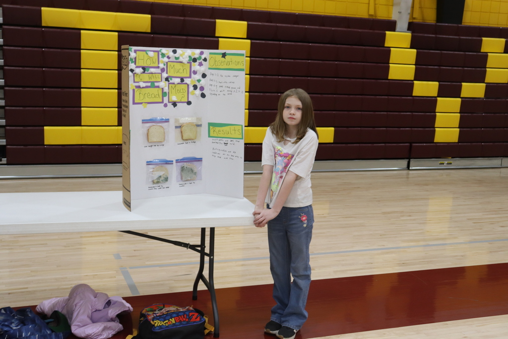 Science Fair