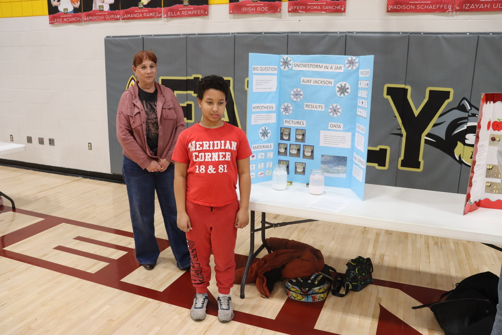 Science Fair