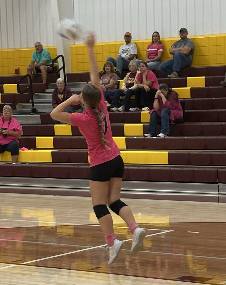 vb