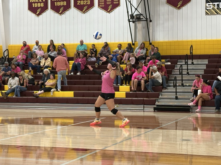 vb