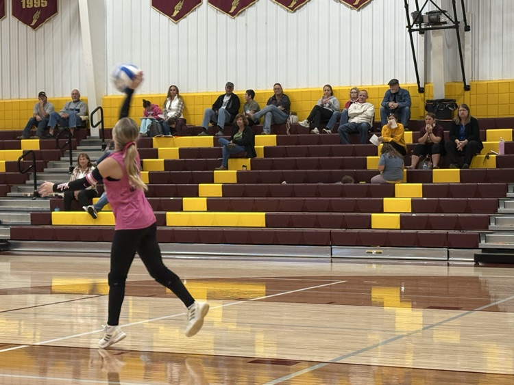 vb