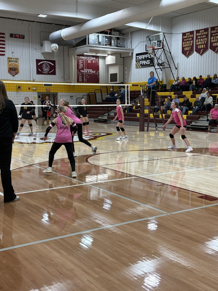 vb
