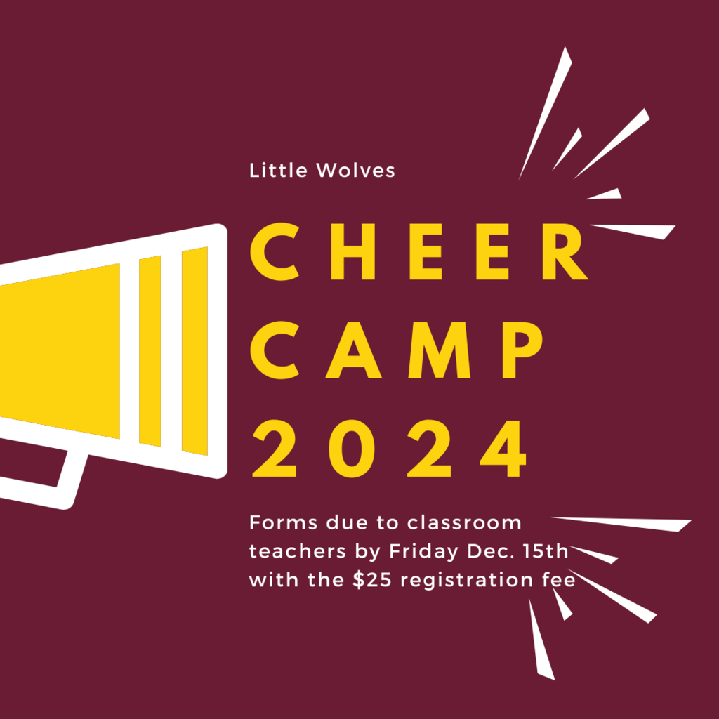 Little Wolves Cheer Camp