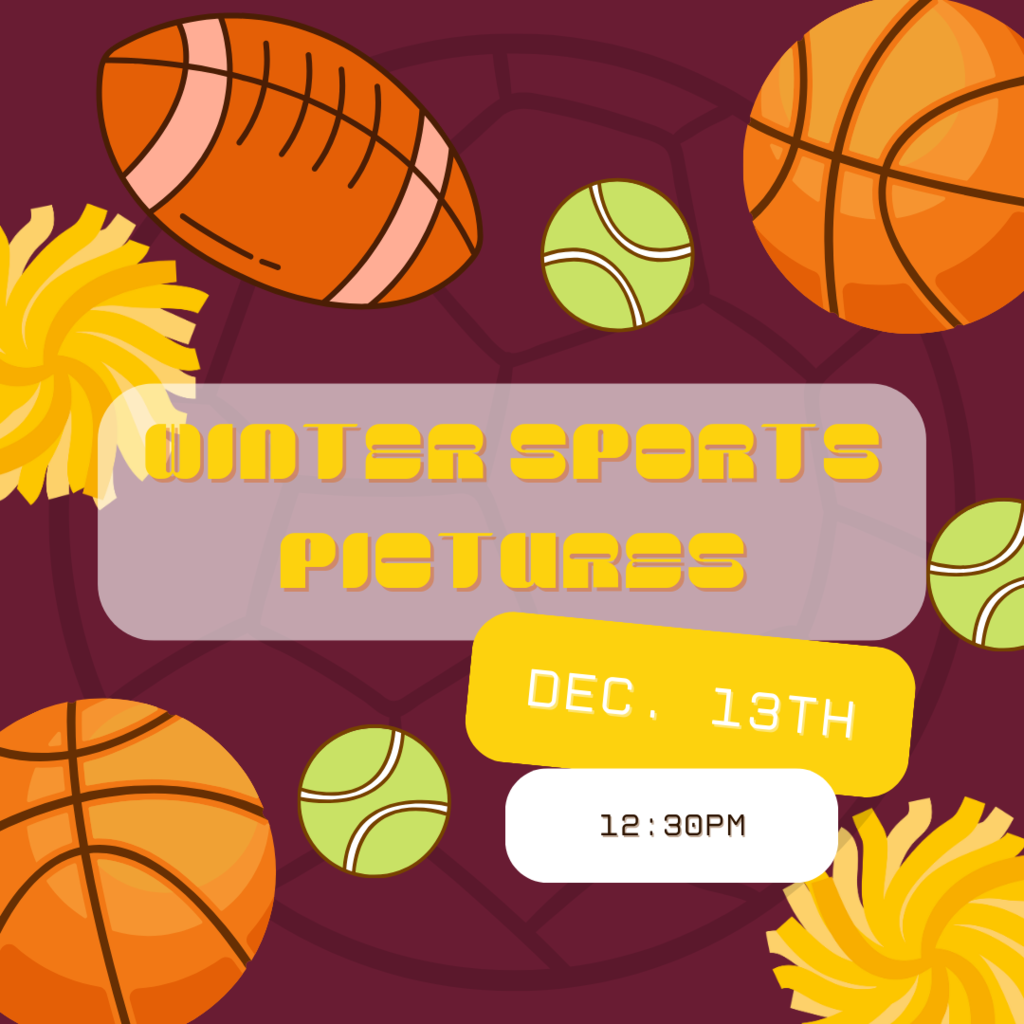 Winter Sports Pictures