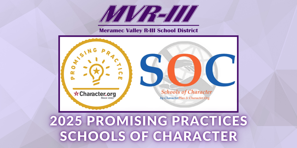 2025 MVR-III Promising Practices