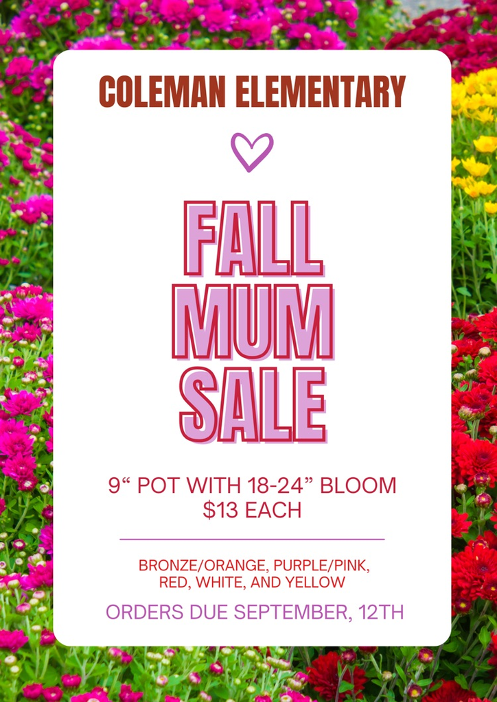 Fall Mum Sale