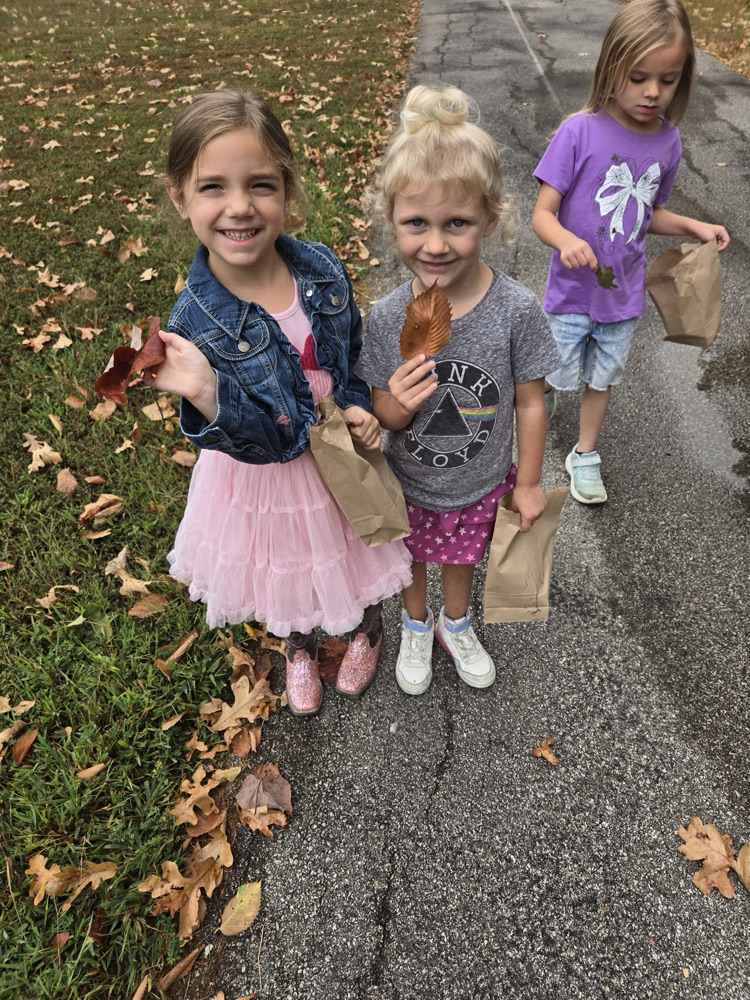 Fall Scavenger