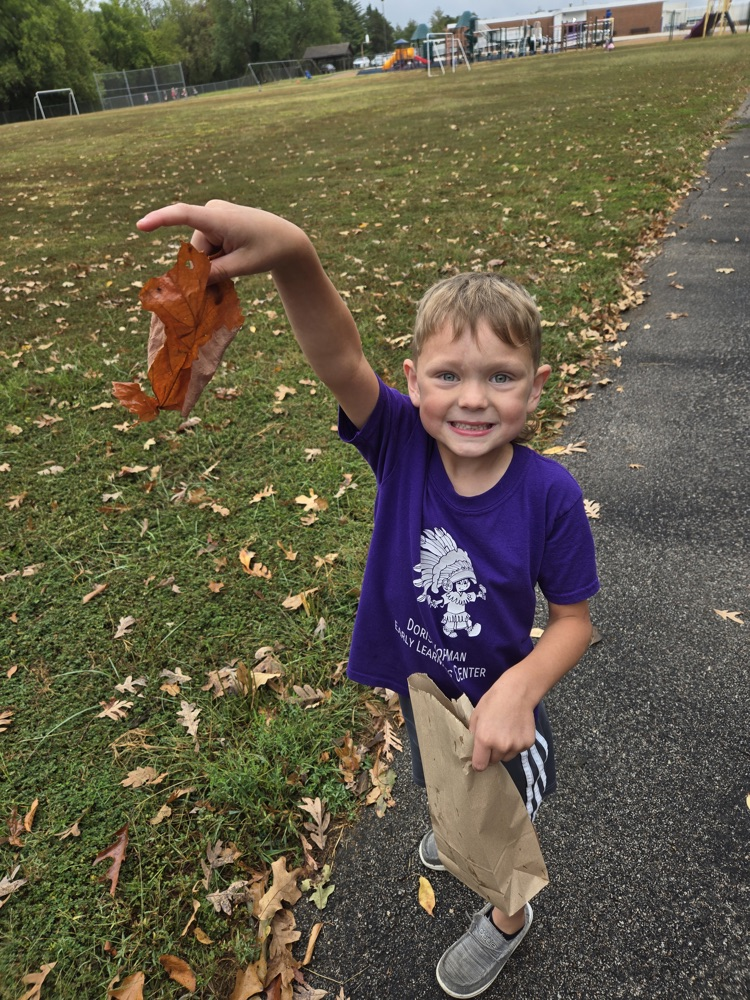 Fall Scavenger