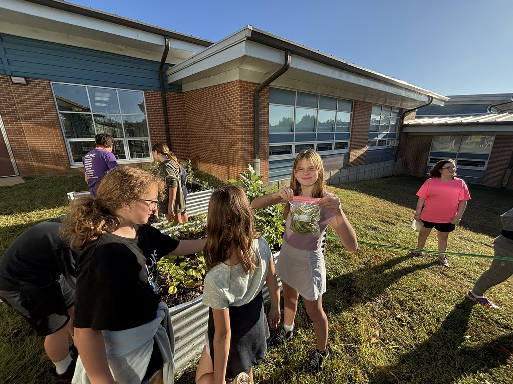 Students participating in club activities.