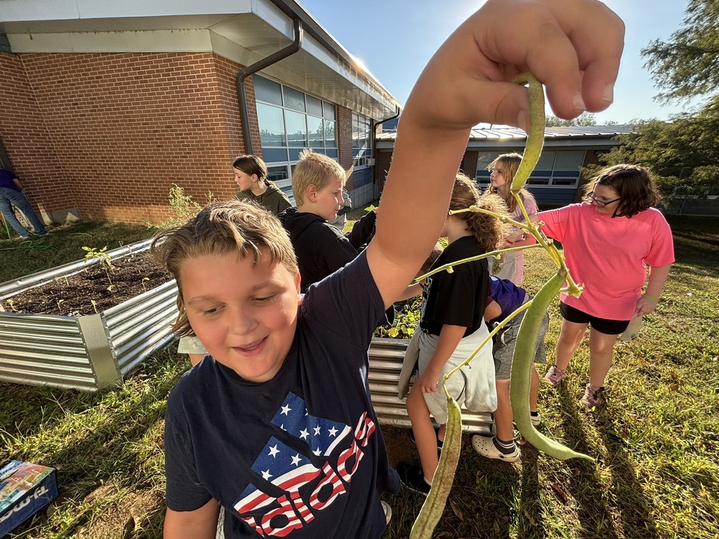 Students participating in club activities.