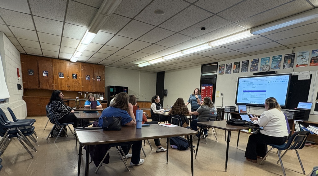 Teachers participating in professional development