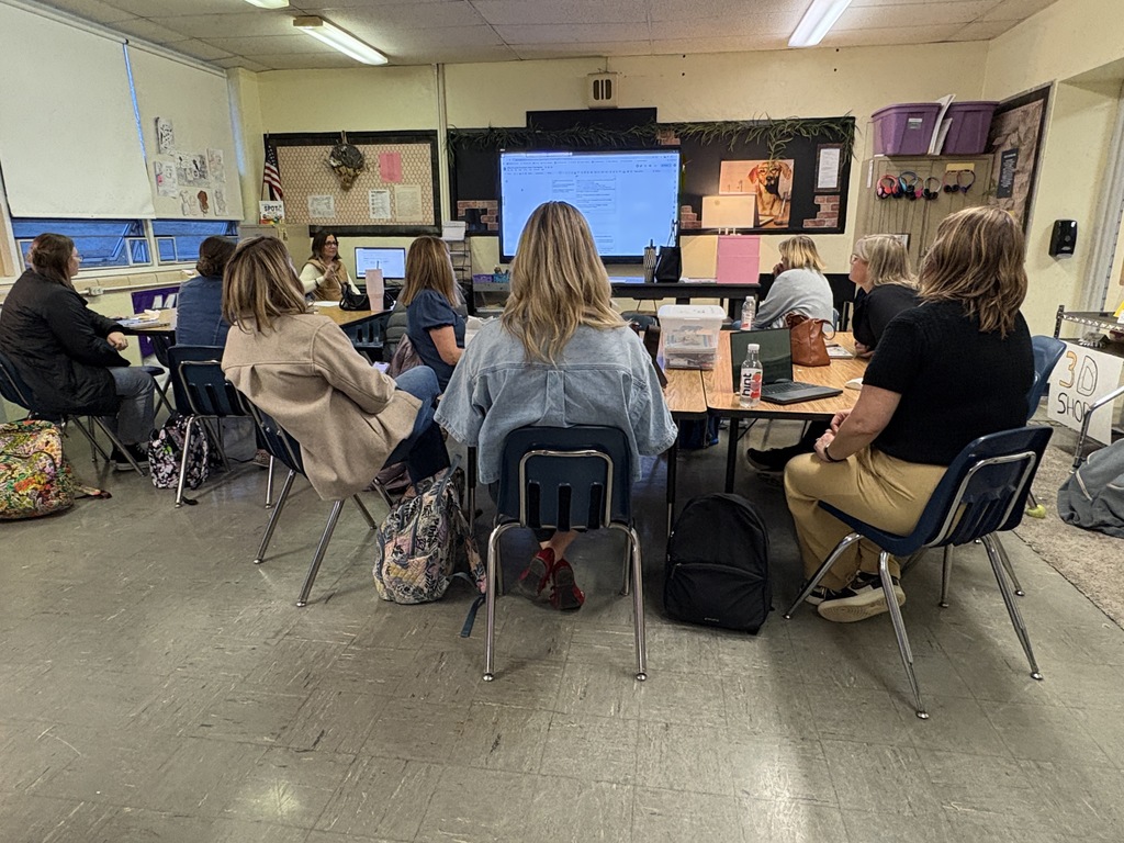 Teachers participating in professional development