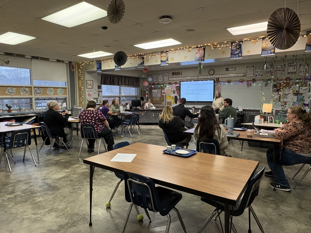 Teachers participating in professional development