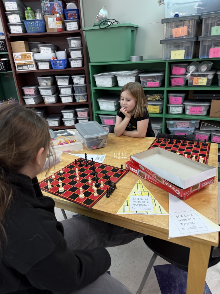 Students playing Chess games