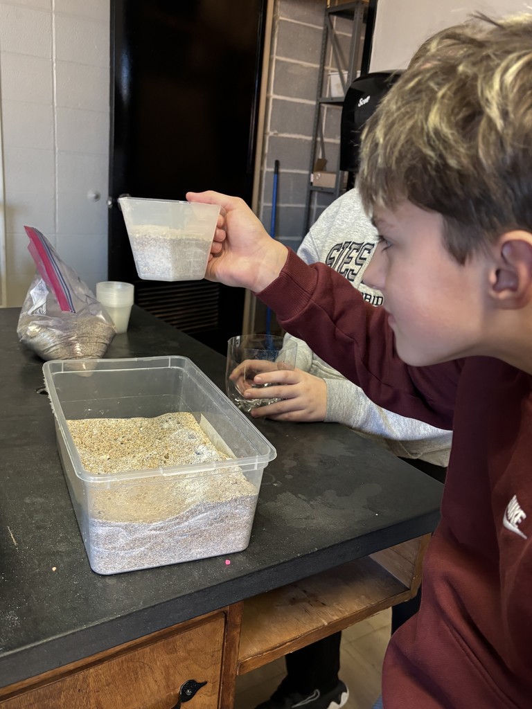 Students building sealed terrariums to model the water cycle.