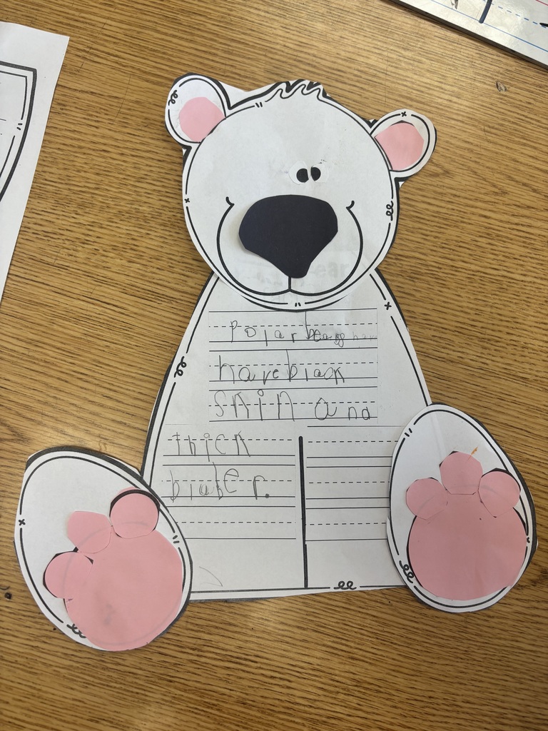 Students using a “blubber” layer by placing one hand in a glove inside a sealed bag.