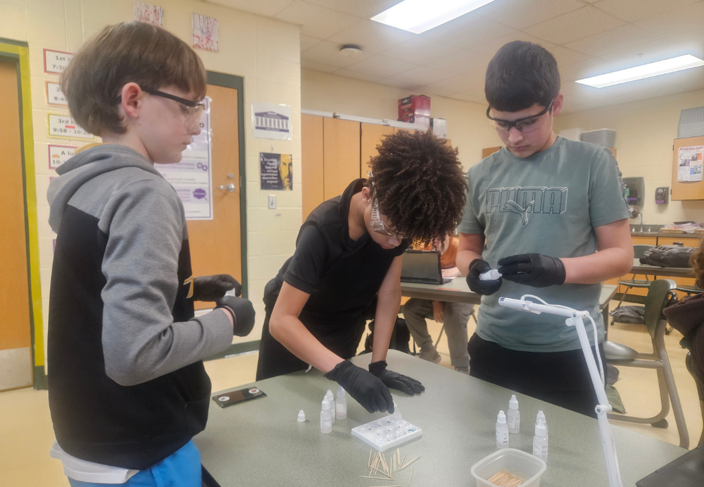 Middle school students working on a science project.