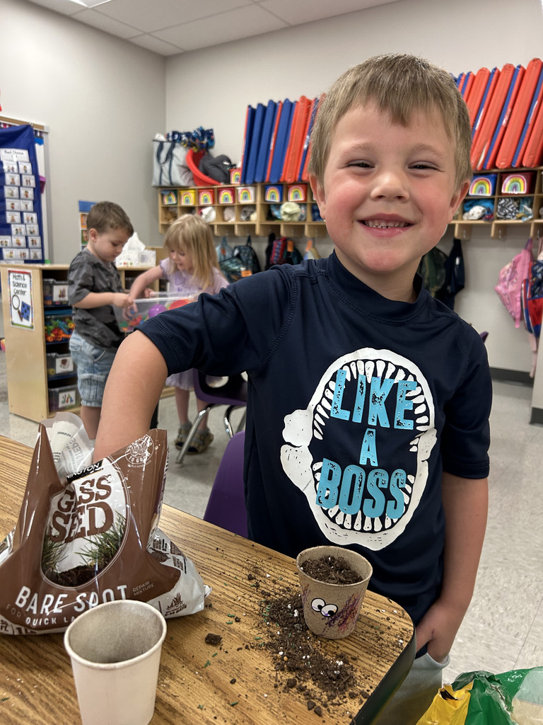 Young student putting grass seed into a small paper cup.