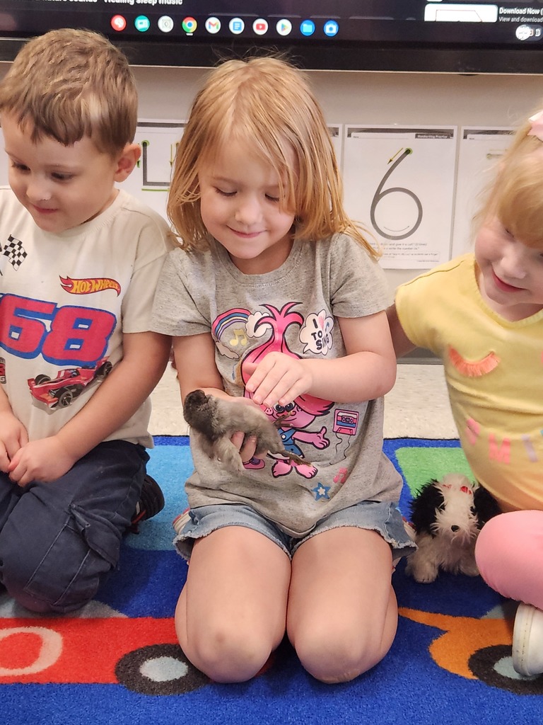 Young students in a classroom holding baby chicks.