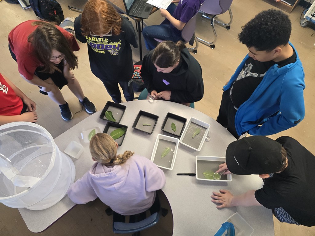 Students examining leaves using magnifying glasses in a classroom.