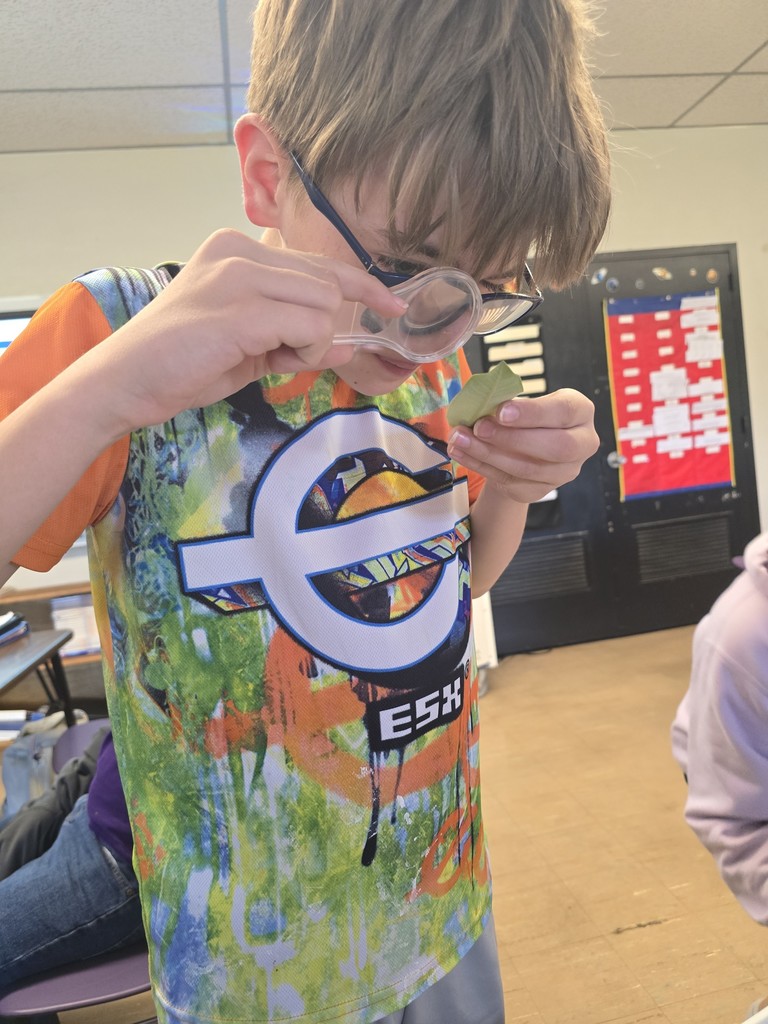 A student holds a leaf, examining it with a magnifying glass.