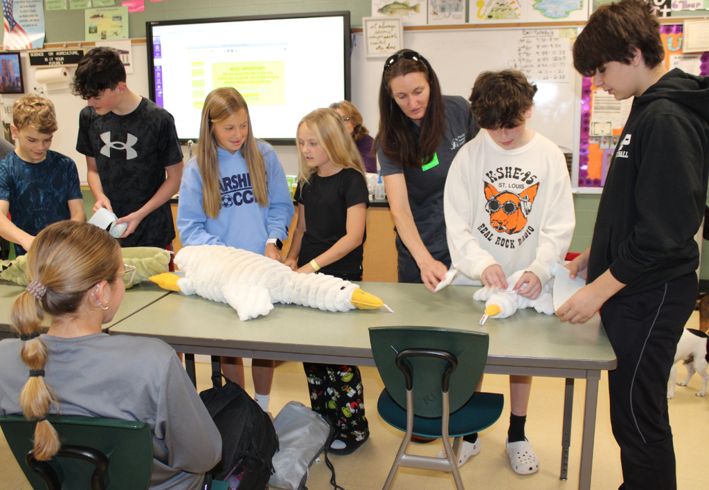 Students doing a classroom activity with large white stuffed animals ducks.
