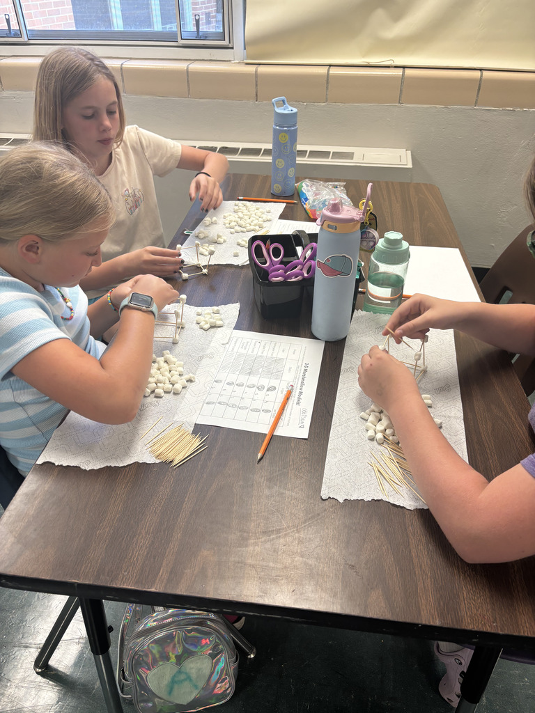 Students making 3D models with toothpicks and marshmallows.