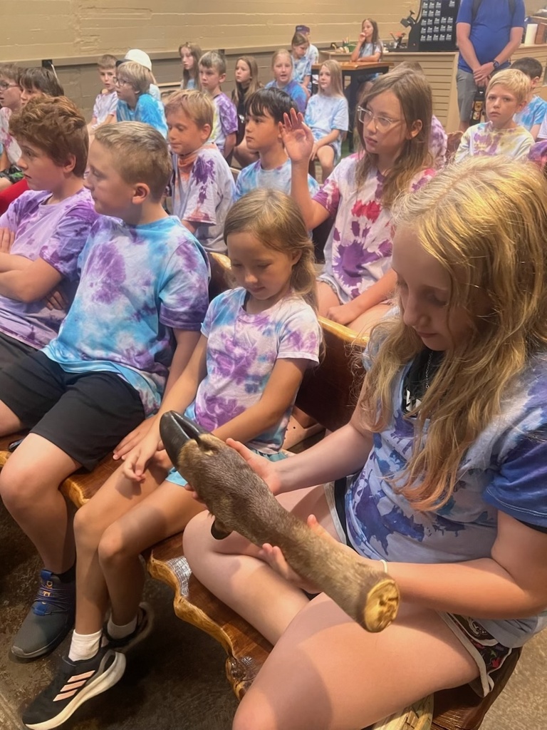 Students attend a wildlife presentation indoors as one student examines an animal specimen while classmates watch and participate.