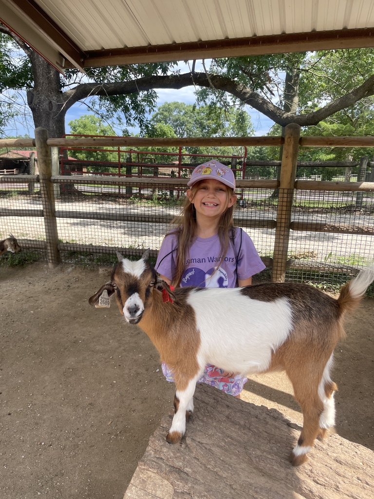 Student smiles beside a brown-and-white goat standing on a rock in a petting zoo enclosure.