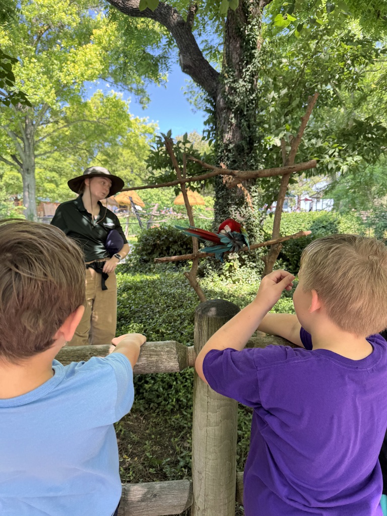 Students watch a zoo educator give a presentation about a colorful macaw perched on a branch in a shaded outdoor exhibit.