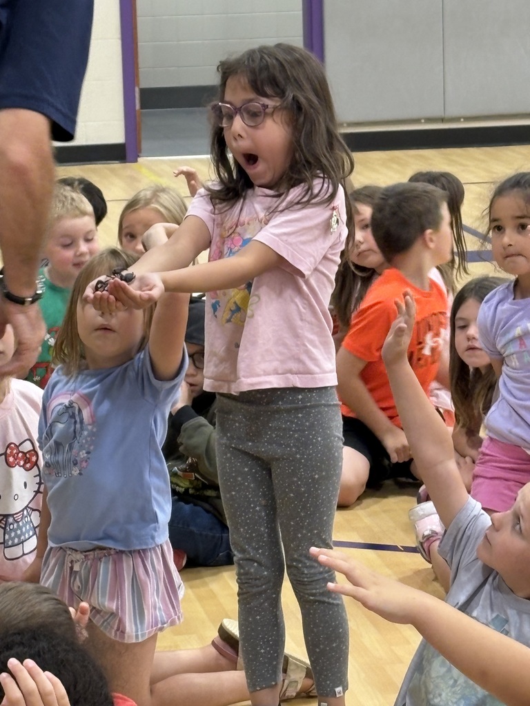 Student reacts with surprise while carefully holding a large bug during a hands-on animal presentation in the school gym.