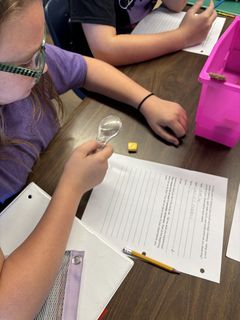 Students conduct a classroom investigation using magnifying glasses, rulers, and worksheets to observe and measure small objects.