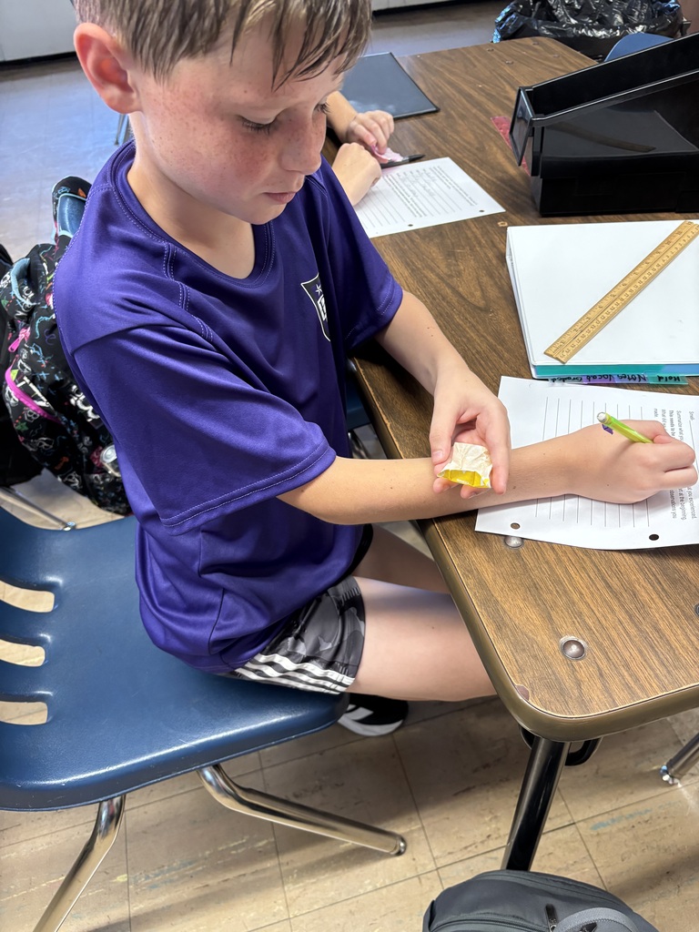 Students conduct a classroom investigation using magnifying glasses, rulers, and worksheets to observe and measure small objects.