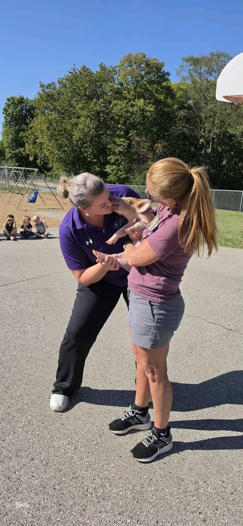 A woman in a purple polo shirt kisses a piglet held by another woman, with playground swings in the background.