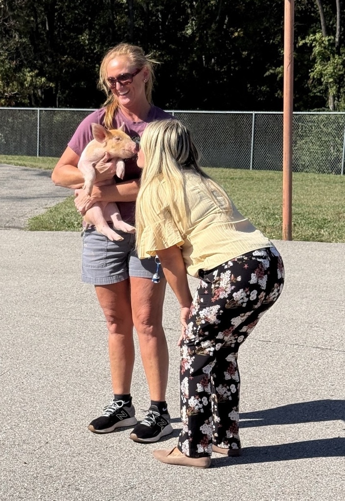 A woman holds a pink piglet while another woman leans in to greet it on a sunny outdoor basketball court.