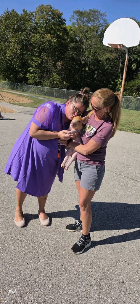 A woman in a purple dress gently kisses a piglet while another woman holds it outdoors in the sunshine.