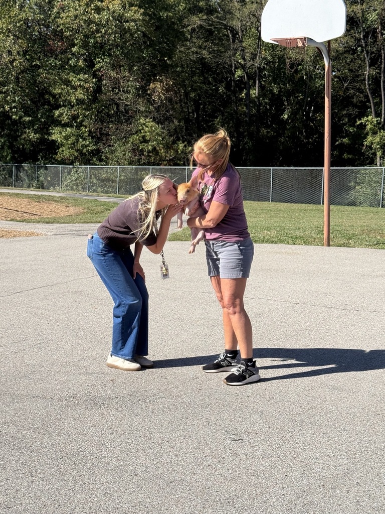 A woman bends down to kiss a small piglet held by another woman on a school playground.