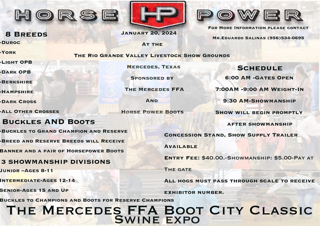 Boot City Classic