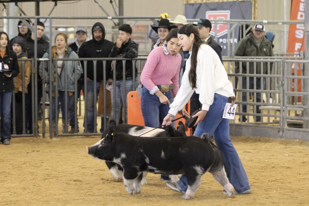 FFA Boot Show
