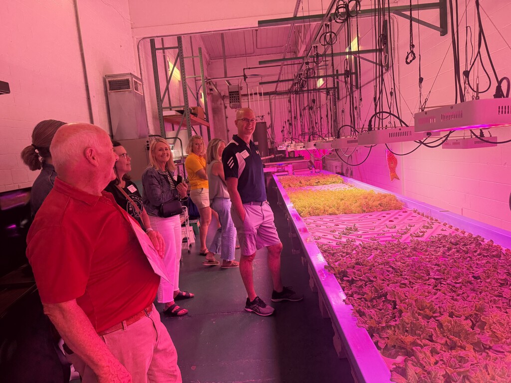 Indoor area with multiple people standing and observing rows of plants under artificial lighting.