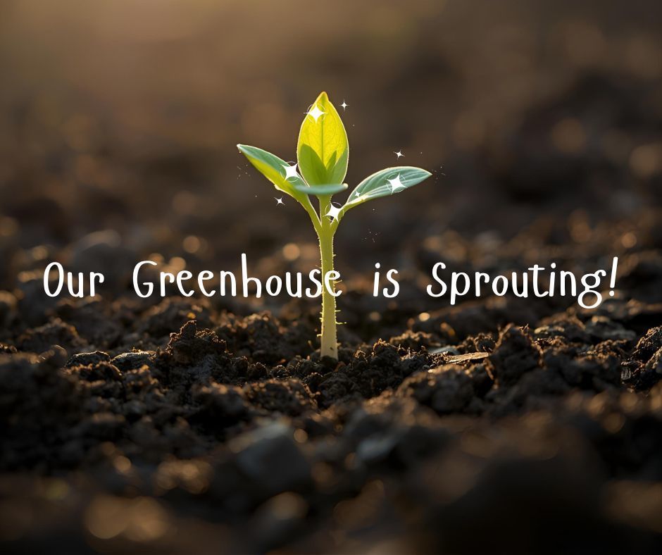 Our Greenhouse is Sprouting