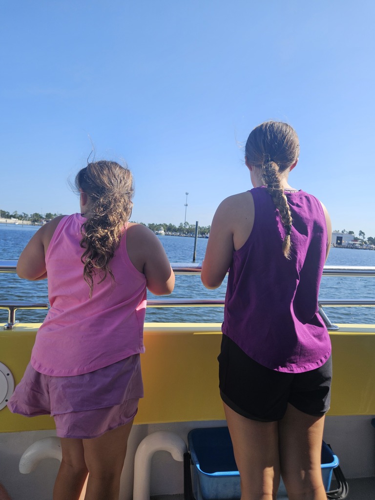 Summer spotlight: Panama City Beach and dolphins