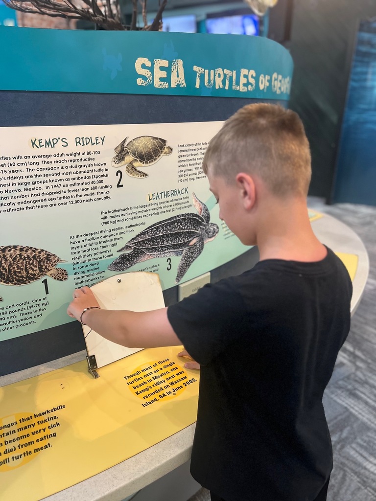 Summer Learning Spotlight: Cumberland Island, Georgia