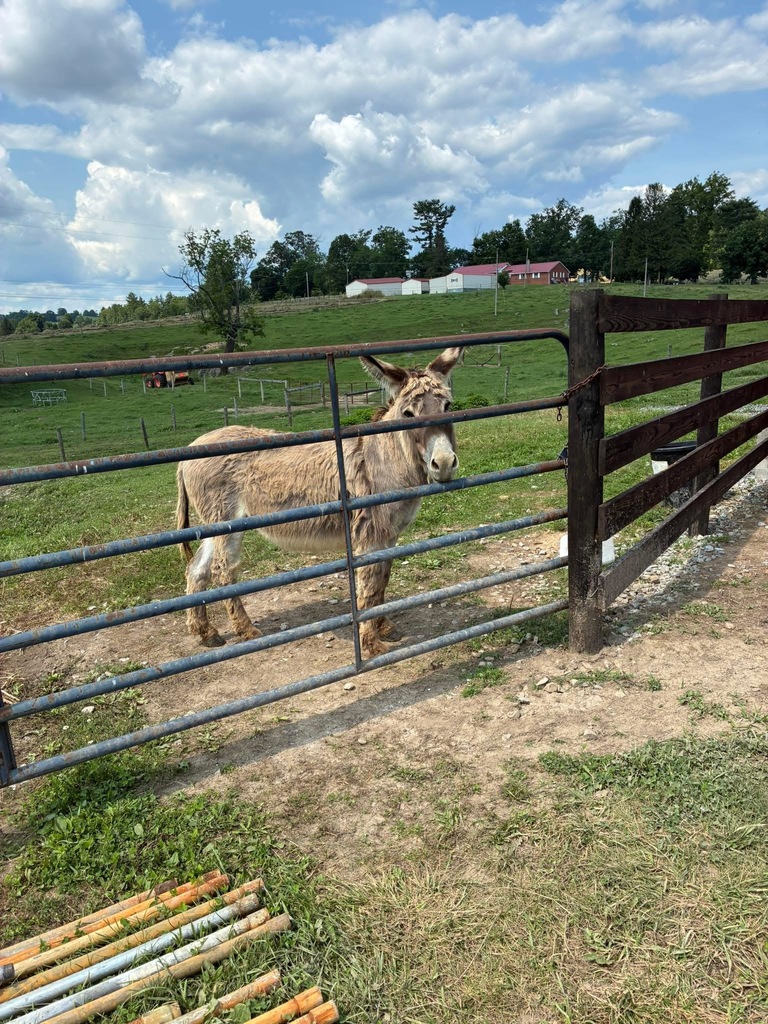 Summer Learning Spotlight: Spending quality time on the family farm