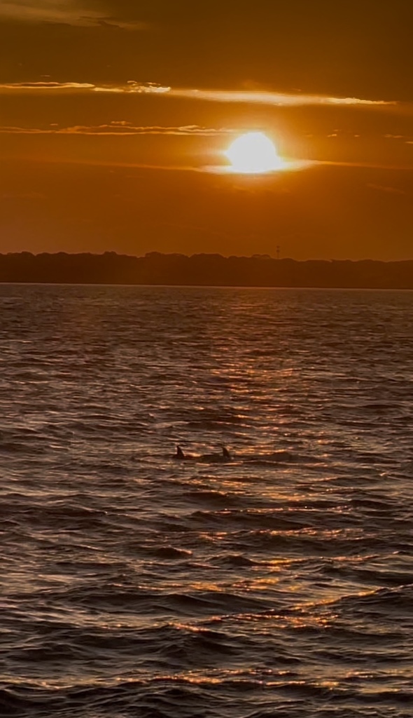Summer Learning Spotlight: Destin Florida