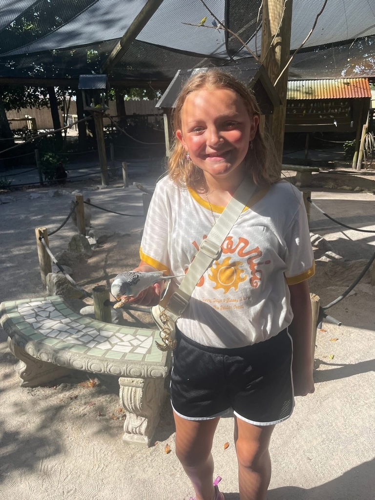 Summer Learning Spotlight: Destin Florida
