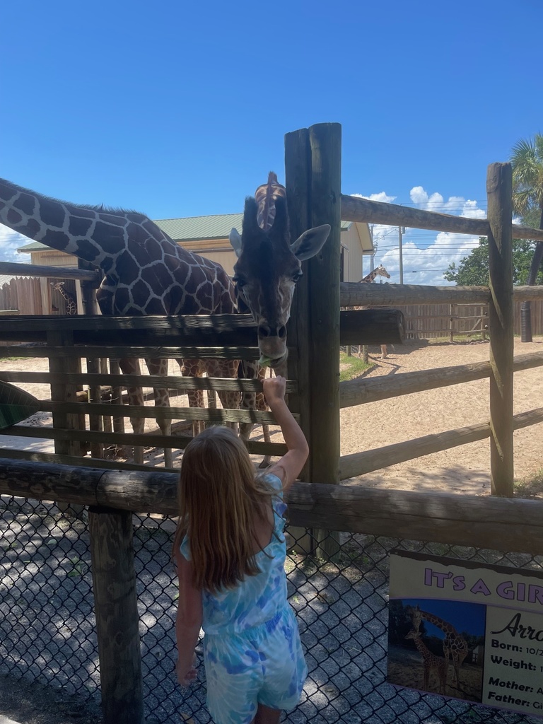 Summer Learning Spotlight: Destin Florida