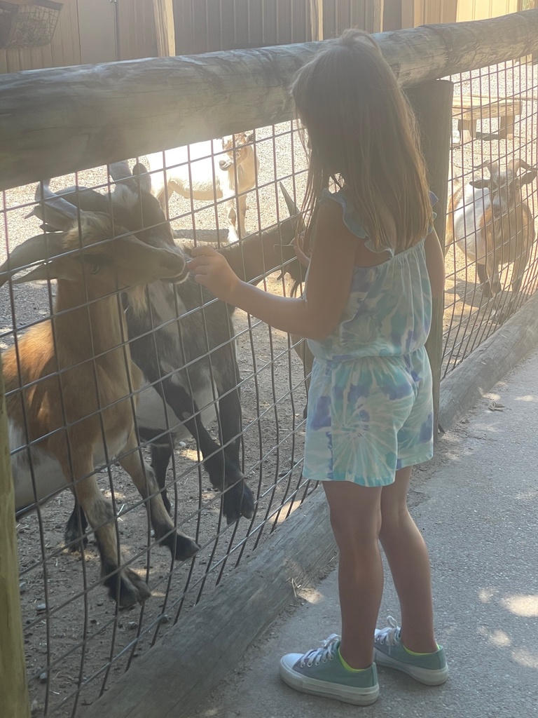 Summer Learning Spotlight: Destin Florida